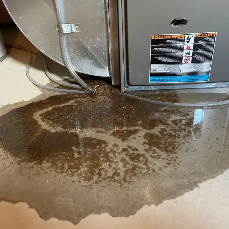 Pipe Burst and Leak Restoration in Poweshiek County, IA