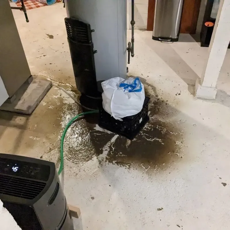 Sewage Backup Cleanup Service in Poweshiek County, IA